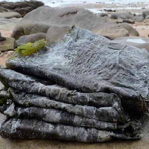 威海海带品牌榜