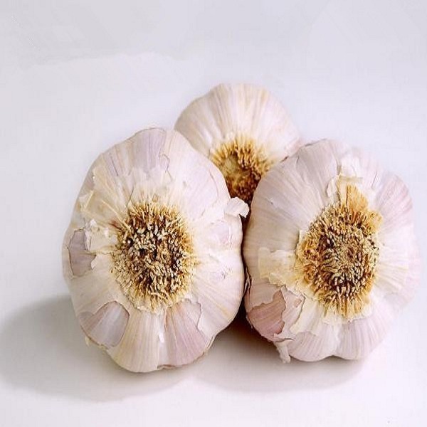 巴东大蒜