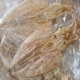 东平鱿鱼