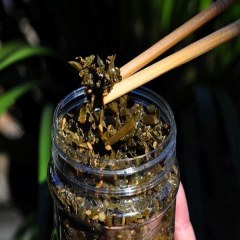 高河菜