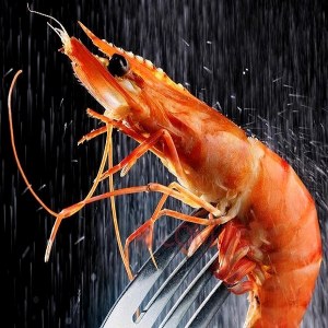 阿根廷红虾品牌榜