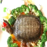 朱桥烩甲鱼