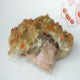 泉州浮果
