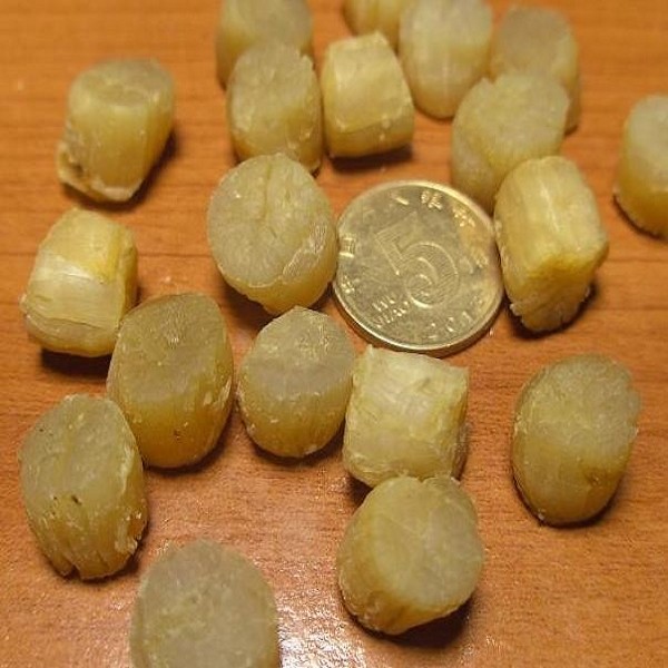 湛江江瑶柱详细介绍:特点 - 湛江特产 - 特色谷