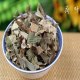 睡莲花茶