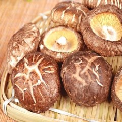 黄山野生香菇