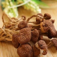 上栗茶树菇