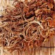 上栗茶树菇