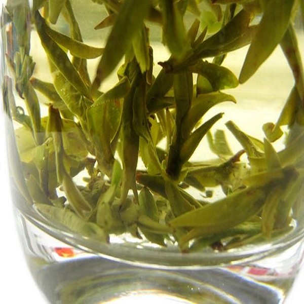随州芽茶