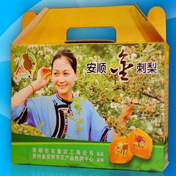 安顺金刺梨详细介绍:特点 - 安顺特产 - 特色谷