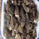 礼县羊肚菌