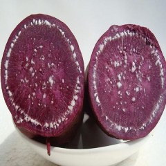 沂蒙紫薯