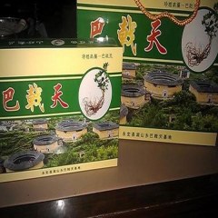 永定巴戟天