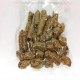 永定巴戟天