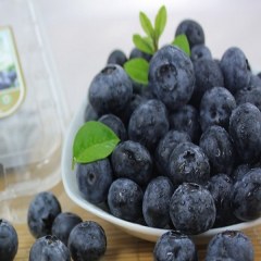 庄河蓝莓