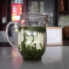 五莲绿茶