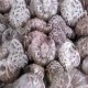 寿宁花菇