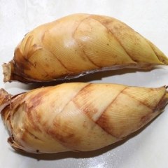 会同冬笋
