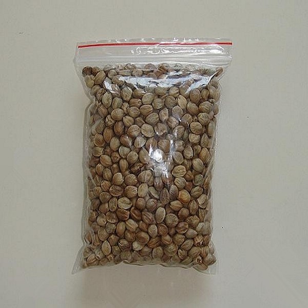清水麻子详细介绍：特点 - 清水特产 - 特色谷