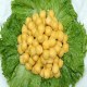 青冈粘豆包