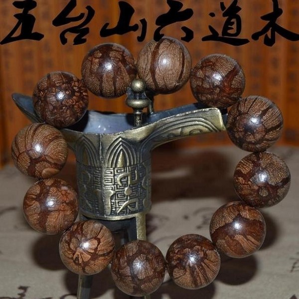 五台山六道木