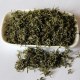 虞山绿茶