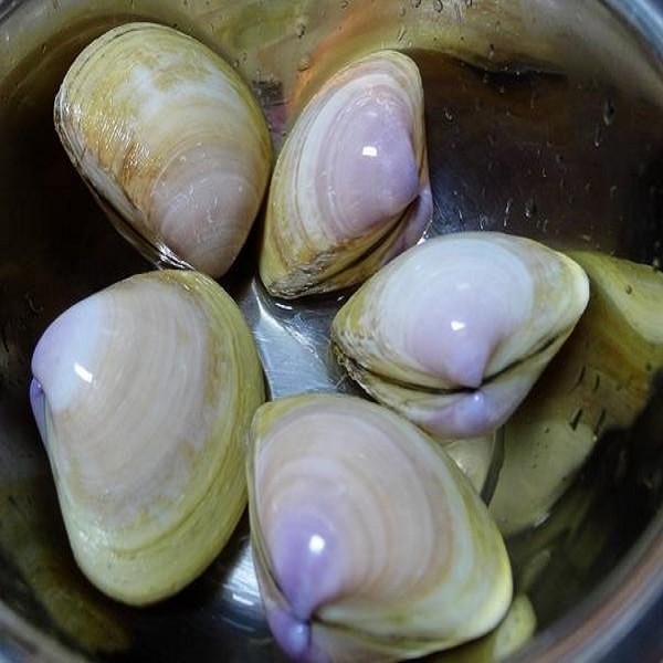 日照西施舌详细介绍:特点 历史 - 日照特产 - 特色谷