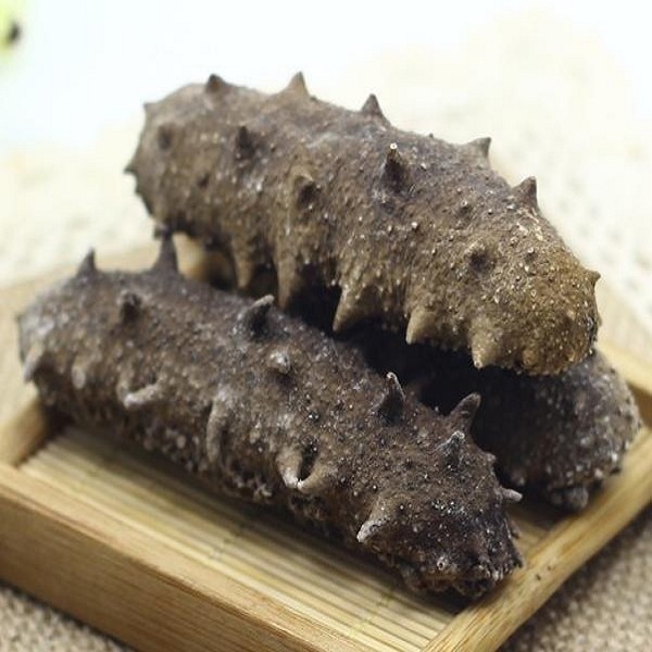 特产大全 山东 日照 -> 日照刺参 >