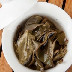 仁化白毛茶