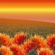 裕民无刺红花