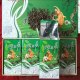 新疆罗布麻茶