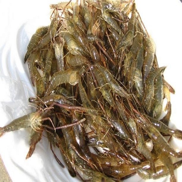 洪泽湖青虾