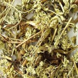 野生藏茵陈