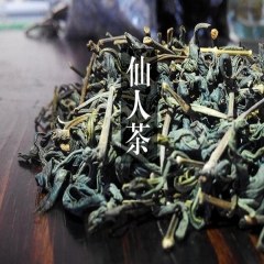 惠东仙人茶