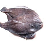 佛得角鳎鱼