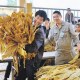 凉山清甜香烤烟