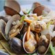 威海蚬蛤