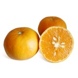 郭家山柑橘