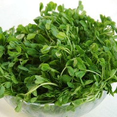 平定豆叶菜