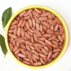 砚山小粒花生
