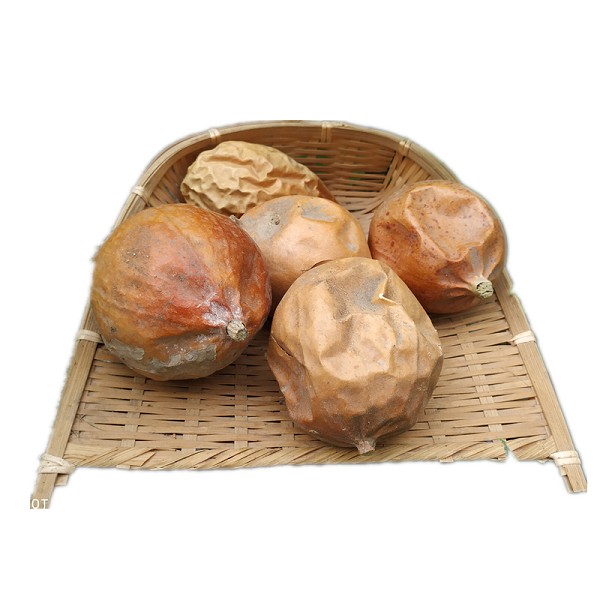 马山栝楼详细介绍：特点 历史 - 济南特产 - 特色谷