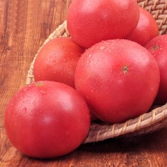 夏庄杠六九西红柿