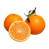 杨沟柑橘