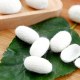 盐边桑蚕茧