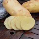 安定马铃薯