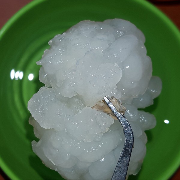 王蛤蟆膏