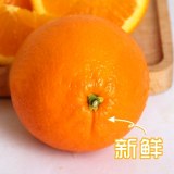 兴山锦橙