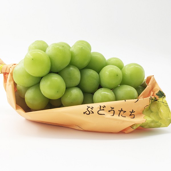 朱集葡萄