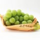 朱集葡萄