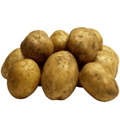胶河土豆